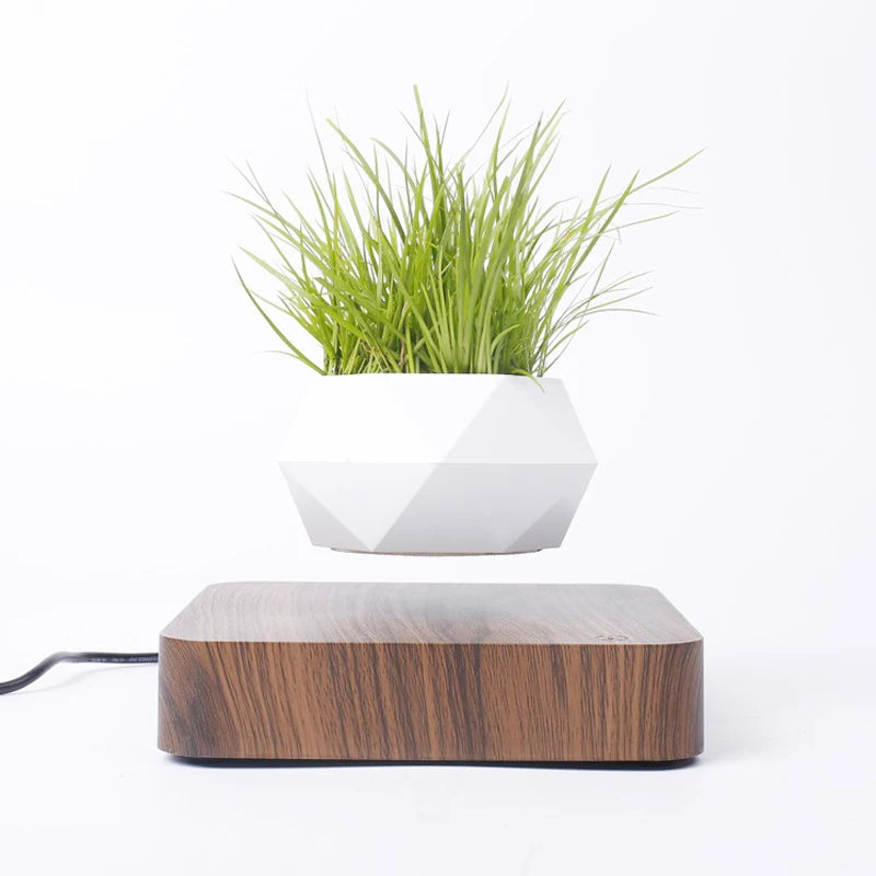 Magnetic Suspension Levitating Bonsai Plant 