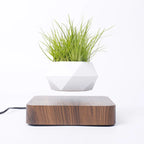 Magnetic Suspension Levitating Bonsai Plant 
