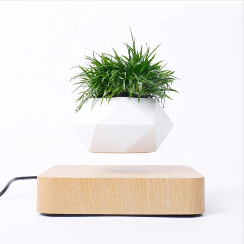 Magnetic Suspension Levitating Bonsai Plant 