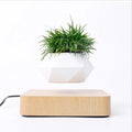 Magnetic Suspension Levitating Bonsai Plant 