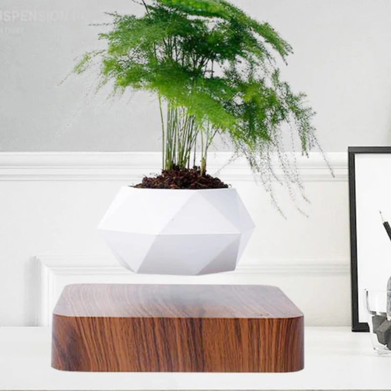 Magnetic Suspension Levitating Bonsai Plant 