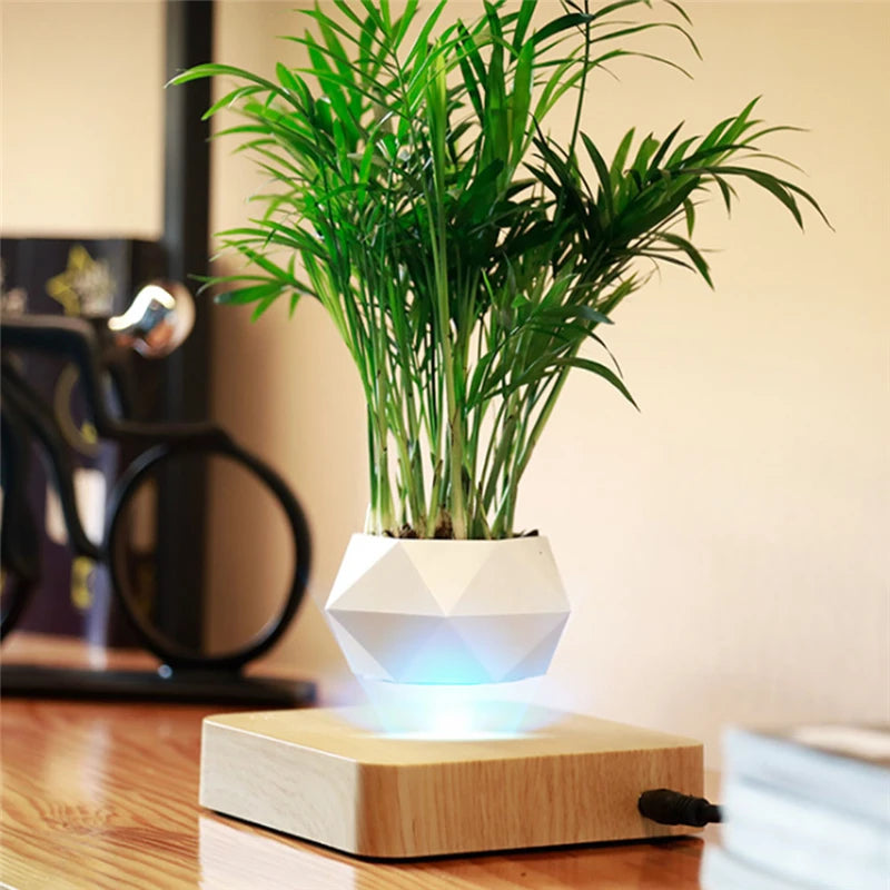 Magnetic Suspension Levitating Bonsai Plant 