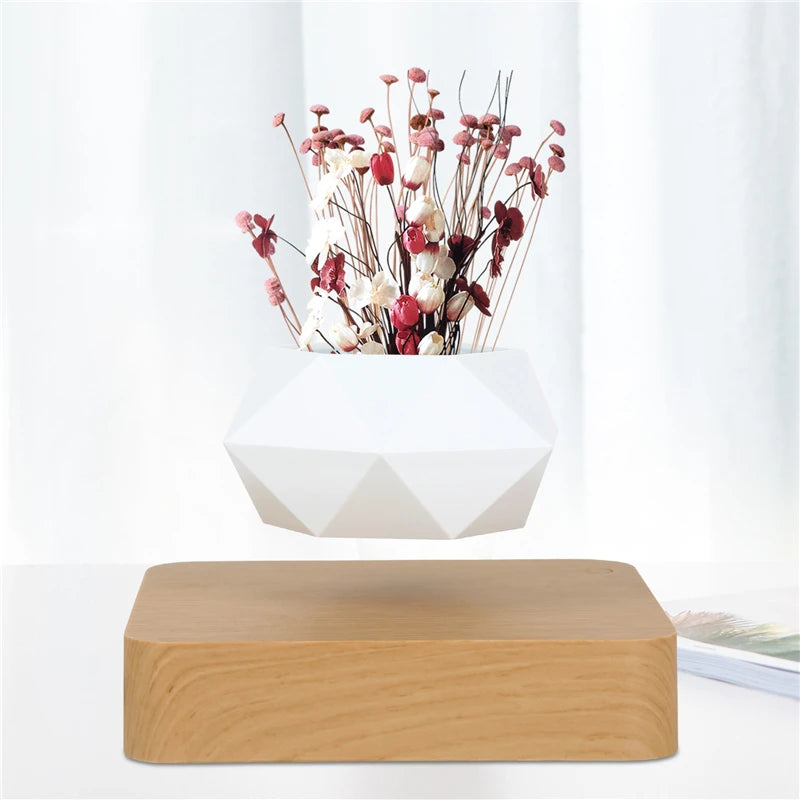 Magnetic Suspension Levitating Bonsai Plant 
