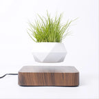 Magnetic Suspension Levitating Bonsai Plant 