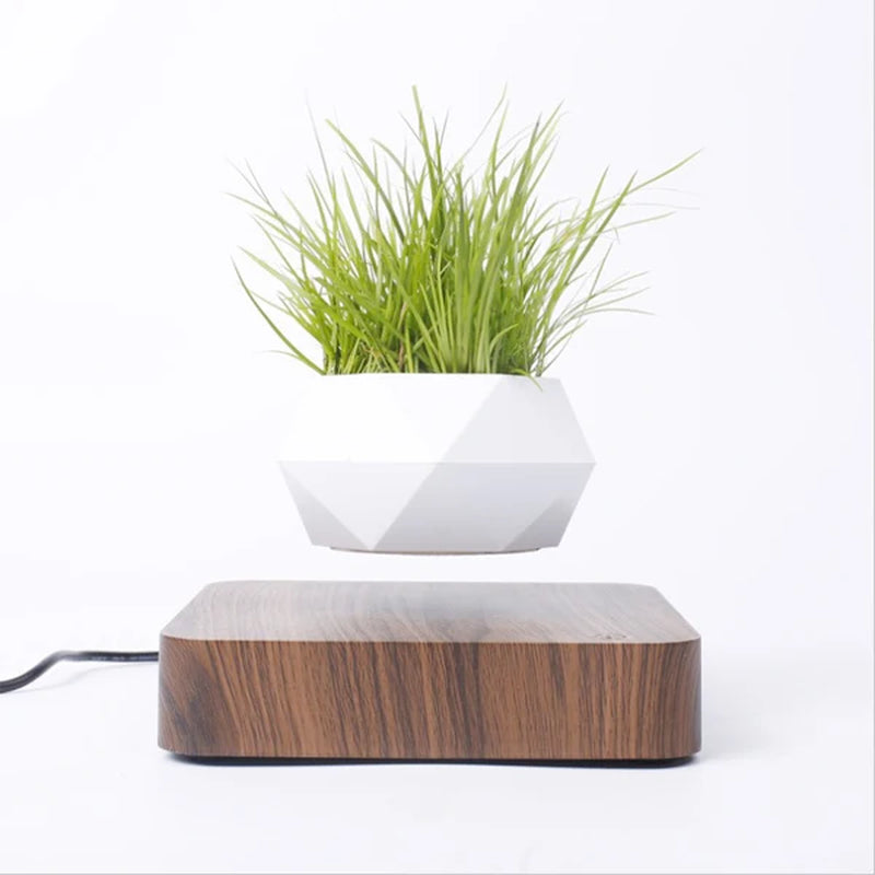 Magnetic Suspension Levitating Bonsai Plant 